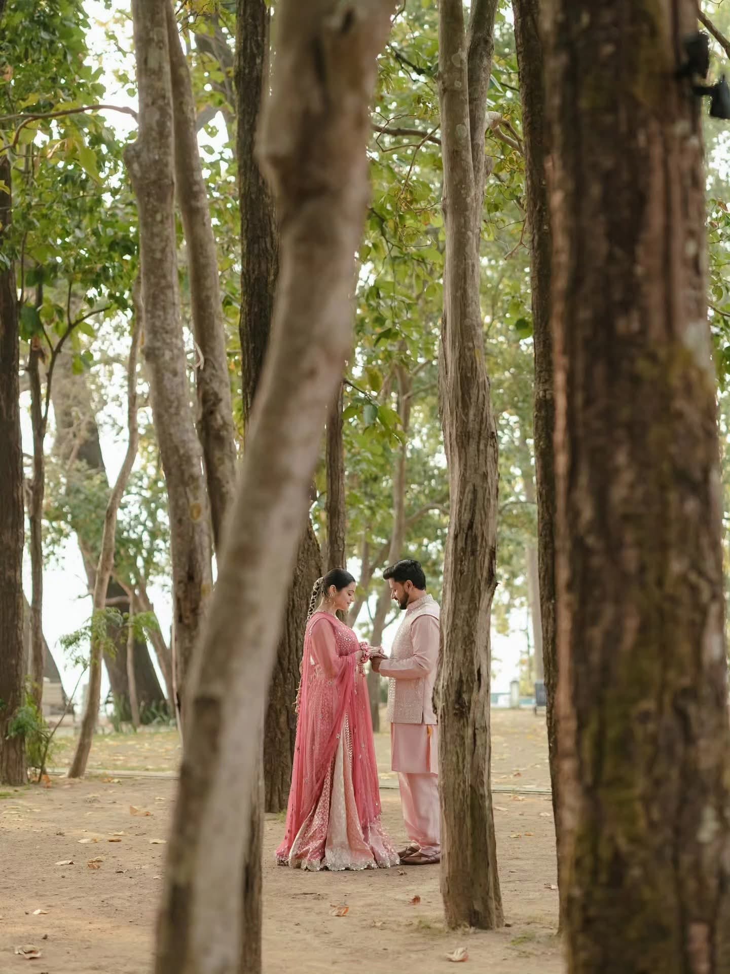 The couple sharing a quiet moment framed between tree trunks in a wooded grove
