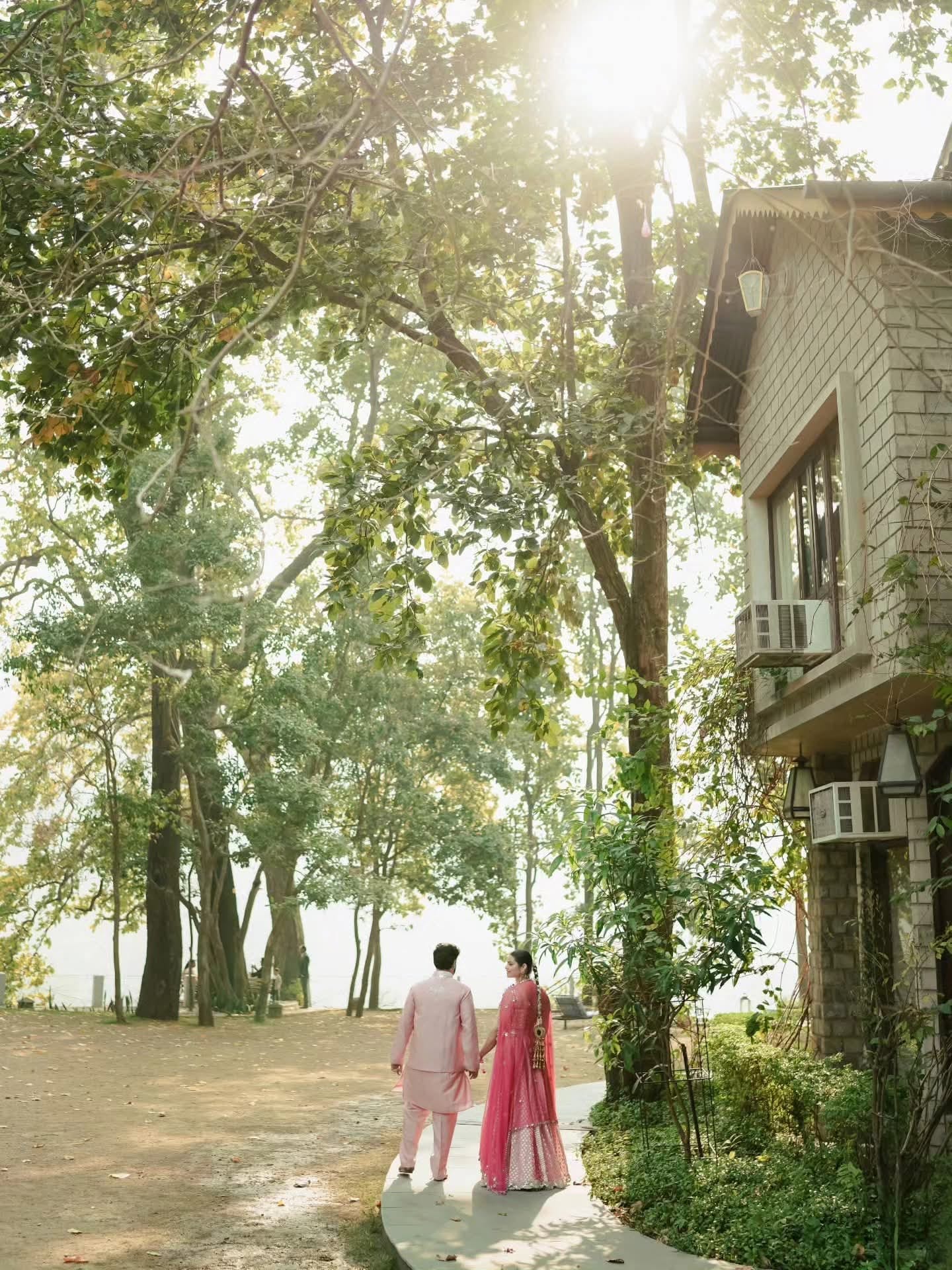 The couple in pink walking hand in hand down a sunlit tree-lined path